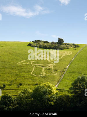 Homer Simpson figura a Cerne Abbas Dorset Regno Unito Foto Stock