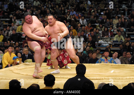 Punto di vittoria per un lottatore di sumo alla molla torneo di sumo di Osaka in Giappone, popolari giapponesi sport spettatore, Asia Foto Stock
