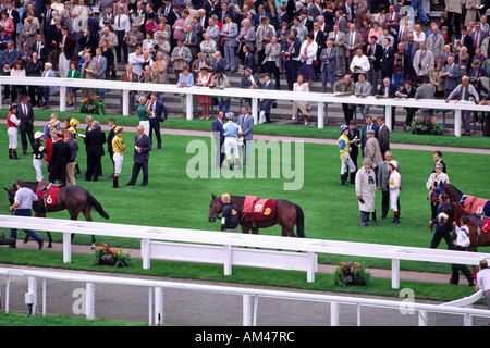 Cavalli e fantini nella Parade Ring a St Leger incontro classico nello stabilimento di Doncaster, nello Yorkshire meridionale Foto Stock