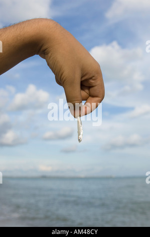 Close-up di una mano di un uomo che mostra delle catture di pesce sulla spiaggia Foto Stock
