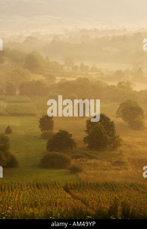 Campagna vicino a Curtea de Arges, Valacchia, Romania Foto Stock