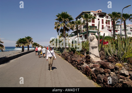 Spagna Isole Canarie, Tenerife Playa de las Americas. Foto Stock