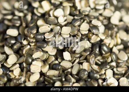 Close-up di Split nero grammi Foto Stock