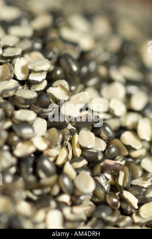 Close-up di Split nero grammi Foto Stock