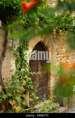 Porta e la facciata di un vecchio rustico nel borgo medievale di Bruniquel Gorge d Aveyron Midi Pyrénées Francia NR Foto Stock