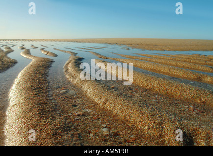 Onda generata increspature ior washboarding n sabbia bagnata su una spiaggia esposta come il mare si ritirò a bassa marea. Foto Stock