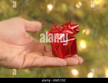 Un piccolo regalo di Natale tenuto in una mano da un albero di Natale Foto Stock