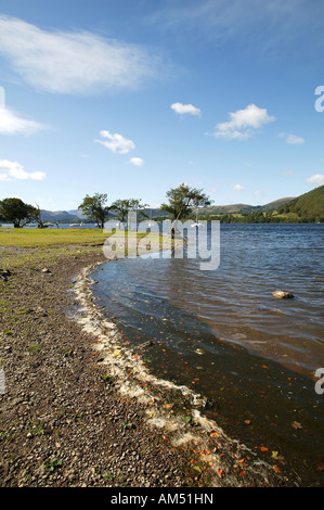 Una vista lungo la riva del "Parco Nazionale del Distretto dei Laghi' Cumbria Regno Unito Foto Stock