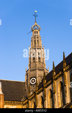 Torre dell'orologio del gotico Grote o St Bavo Kerk chiesa ex cattedrale in Haarlem Holland; i Paesi Bassi. Foto Stock