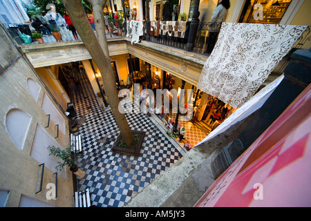 La struttura ad albero del cortile di tiny Pasaje de la Defensa: un palazzo trasformato shopping mall, al quartiere di San Telmo, Buenos Aires. Foto Stock