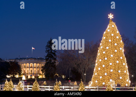 Night Shot della luminosamente nazionale splendente albero di Natale a Washington DC con un incandescente Casa Bianca in background. Foto Stock