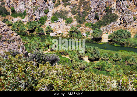 Kourtaliotiko Gorge Candia (Iraklio), Creta, Grecia, Europa Foto Stock