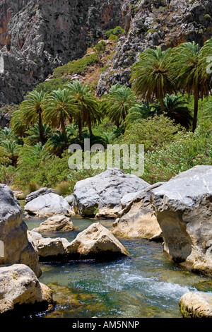 Kourtaliotiko Gorge Candia (Iraklio), Creta, Grecia, Europa Foto Stock