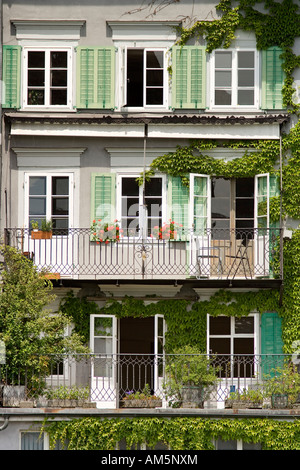 Facciata di una casa, giapponese di superriduttore (Parthenocissus tricuspidata), old town, Lucerna, Svizzera, Europa Foto Stock