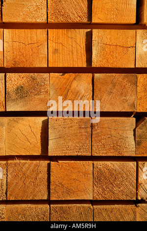 Travi in legno su un lumberyard Foto Stock