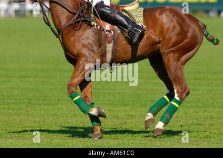 Giocatore di polo, Polo torneo, Berenberg Alta meta Trophy 2007, Thann, Holzkirchen, Alta Baviera, Baviera, Germania Foto Stock