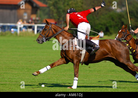 Giocatore di polo, Polo torneo, Berenberg Alta meta Trophy 2007, Thann, Holzkirchen, Alta Baviera, Baviera, Germania Foto Stock