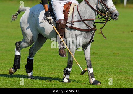 Giocatore di polo, Polo torneo, Berenberg Alta meta Trophy 2007, Thann, Holzkirchen, Alta Baviera, Baviera, Germania Foto Stock