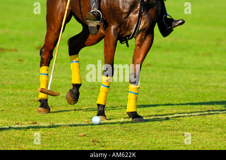 Giocatore di polo, Polo torneo, Berenberg Alta meta Trophy 2007, Thann, Holzkirchen, Alta Baviera, Baviera, Germania Foto Stock