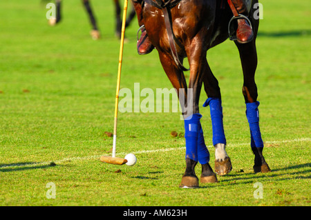 Giocatore di polo, Polo torneo, Berenberg Alta meta Trophy 2007, Thann, Holzkirchen, Alta Baviera, Baviera, Germania Foto Stock