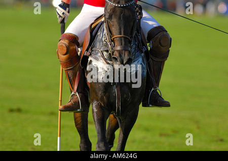 Giocatore di polo, Polo torneo, Berenberg Alta meta Trophy 2007, Thann, Holzkirchen, Alta Baviera, Baviera, Germania Foto Stock