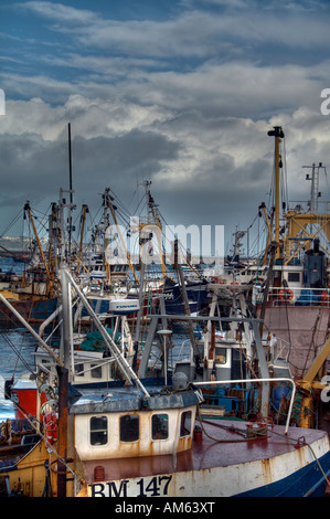 Sfogliare in attesa che la marea di cambiare, permettendo loro di andare al mare. Foto Stock