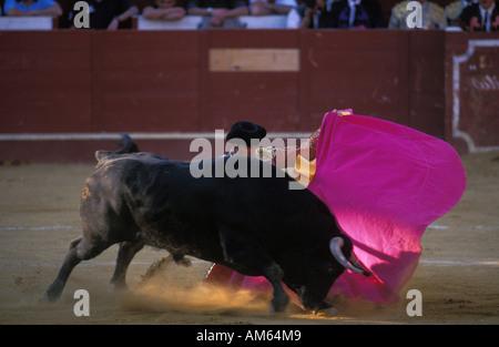 Il torero durante la prima fase della lotta Foto Stock