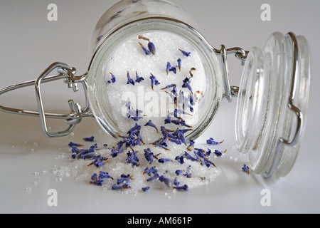 Grana fine lo zucchero con secchi fiori di lavanda in un barattolo di conservazione Foto Stock