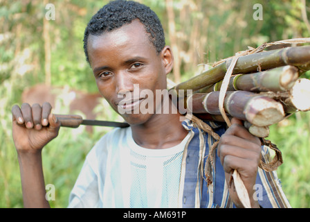 Giovane etiope di canna da zucchero del contadino, Choche village, Etiopia Foto Stock