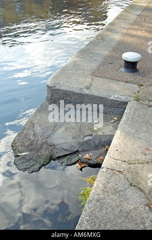 Slittamento del cavallo Regent's Canal Islington London REGNO UNITO Foto Stock