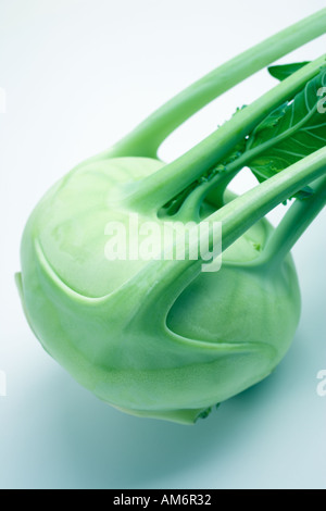 Cavolo rapa Foto Stock