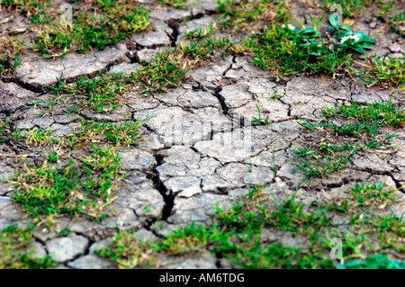 Primo piano della incrinato terra asciutta con ciuffi di erba. Foto Stock