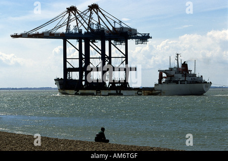 "Zhenhua 5' in arrivo al porto di Felixstowe dalla Shanghai Zhenhua Port Machinery Company (ZPMC) in Cina. Foto Stock