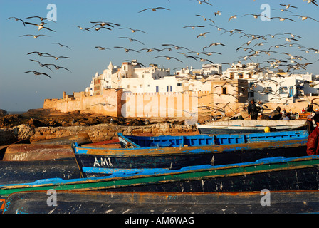 Marocco Essaouira, la città vecchia e i suoi bastioni vista dal porto di pesca Foto Stock