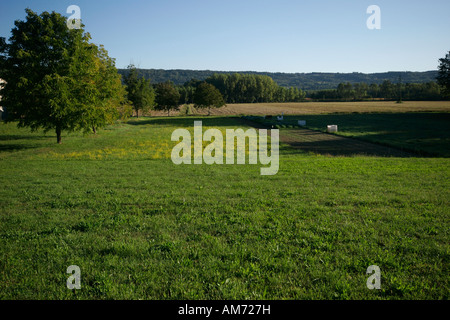 Campo Cultivaltion in Azeglio, vicino a Ivrea (Torino) Foto Stock