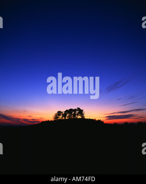 Wittenham Clumps, un gruppo di alberi sul Sinodun sulle colline vicino a Didcot ,Oxfordshire. Foto Stock