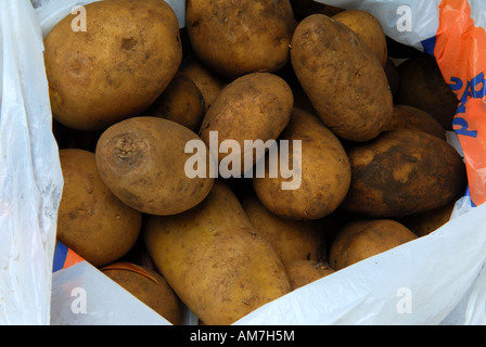 Patate in plastica borsa di trasporto. Foto Stock