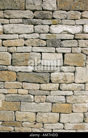Bellissimo e tipico di nuova costruzione Cotswold Oolitic calcare muro a secco UK GB Inghilterra Foto Stock
