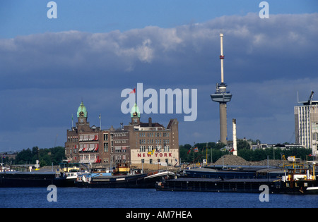 World Port Center Montevideo hotel New York Rotterdam Paesi Bassi olandese ( Nuovo Fiume Maas Euromast ) Foto Stock