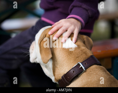 Ragazza di accarezzare il suo cane, Germania Foto Stock