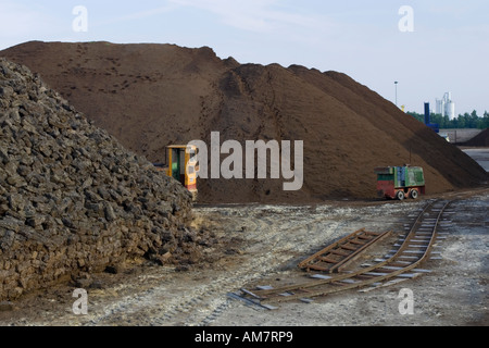 Turf estrazione allo Goldenstedter Moor, Germania settentrionale Foto Stock