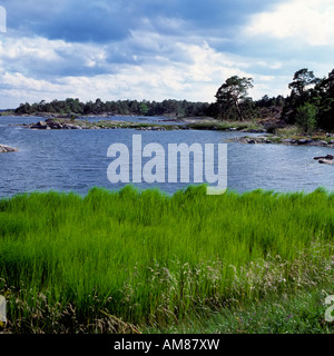 Oskarshamn, Smaland, Svezia Foto Stock