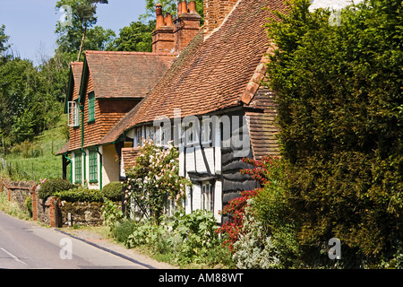 Case e case tradizionali del Surrey nel vecchio villaggio rurale di Shere, Surrey, Inghilterra, Regno Unito Foto Stock