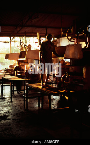 Operaio di fabbrica nella luce della sera a Mancotta piantagione di tè vicino a Dibrugarh, Assam, India, Asia. Foto Stock