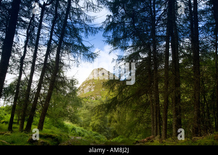 Vista dal sentiero di montagna verso il vertice di Ben Aan, Perthshire, Stirlingshire, Scotland, Regno Unito Foto Stock