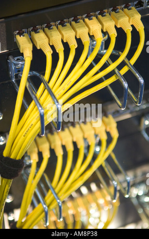 Giallo cavi ethernet collegare nero hub ethernet Foto Stock