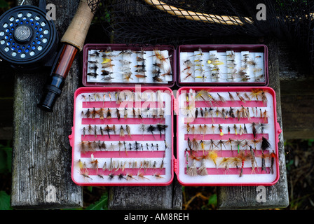 Francia, Calvados, Pays d' Auge, Graule cristiana, la pesca a mosca sul fiume Touques Foto Stock