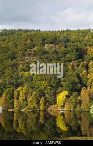 dh Loch Tummel STRATHTUMMEL PERTHSHIRE North Lochside Queens view Tay Forest Park shore autunnale scozia autunno Foto Stock