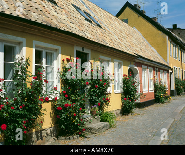 Cottage con rose, su Adelgatan, Lund, Skåne, Svezia. Foto Stock