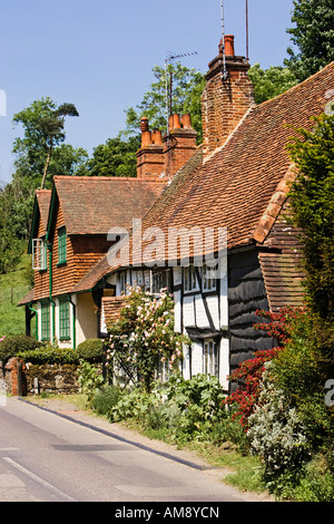 Surrey UK - Vecchio cottage inglese nel villaggio rurale di Shere in Surrey, Inghilterra, Regno Unito Foto Stock